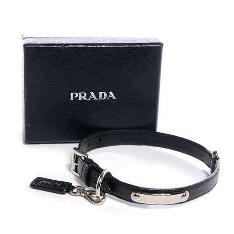 prada pet collar.